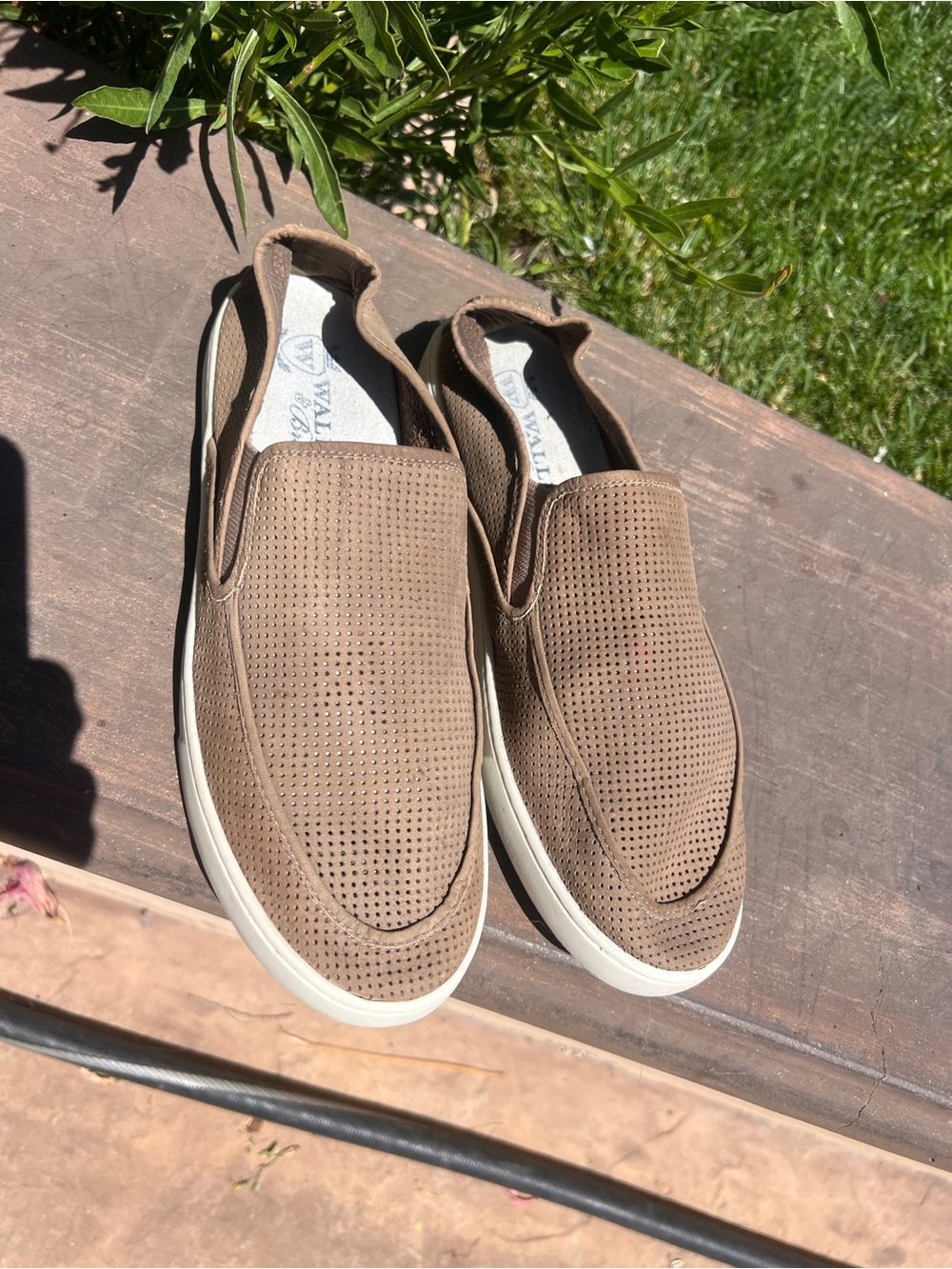 Men's Slip-On Perforated Casual Shoe — Brown